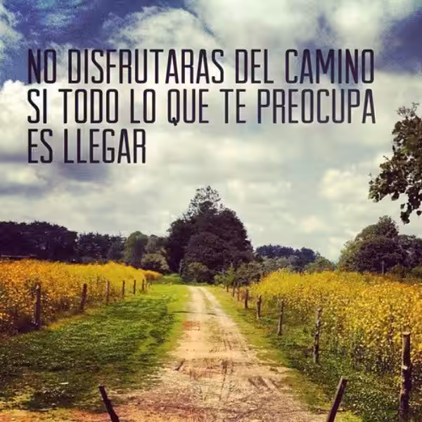 disfruta-el-camino-frases