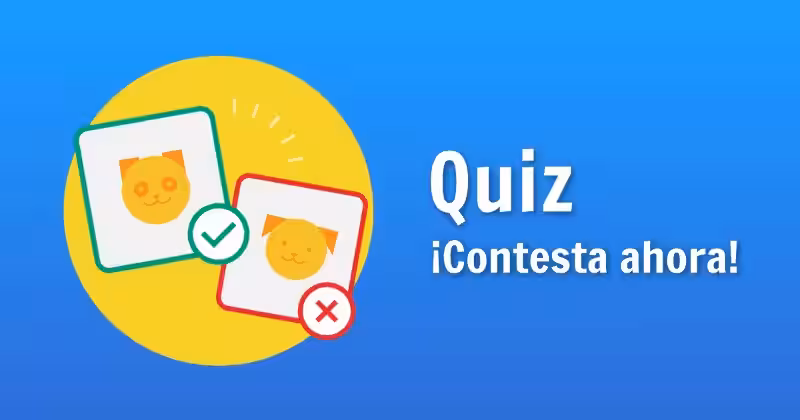 christ-quiz