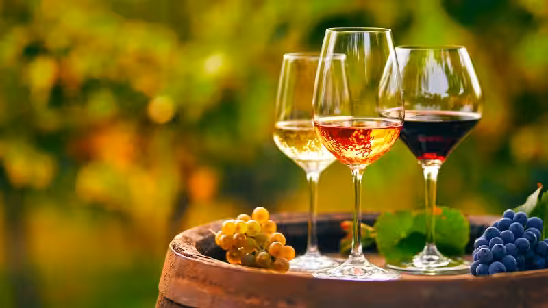 el-vino-a-dar-libertad-a-los-cautivos