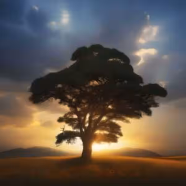 how-to-know-if-a-dream-is-from-god