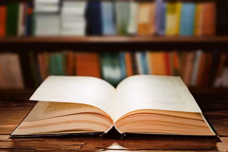 libro-la-parabola-de-pablo